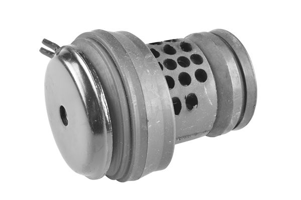 TEDGUM 00723306 - Lagerung, Motor