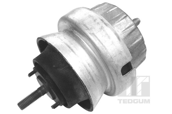 TEDGUM 00056452 - Lagerung, Motor