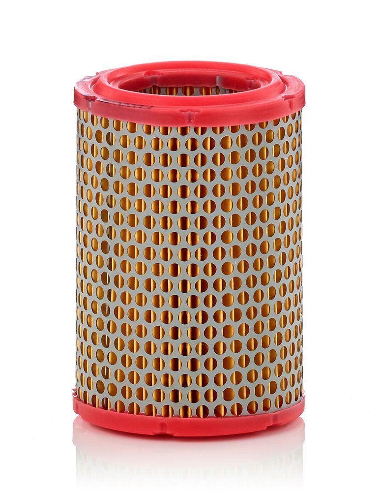MANN-FILTER C 1134/1 - Luftfilter