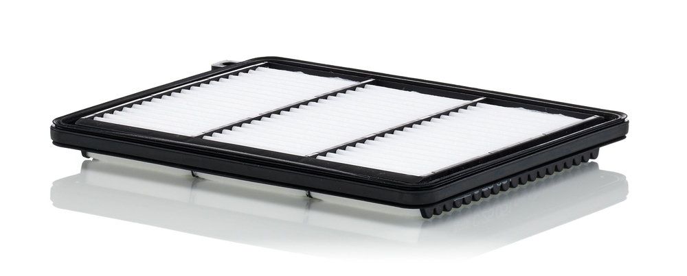 MANN-FILTER C 25 051 - Luftfilter