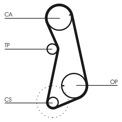 CONTINENTAL CTAM CT637 - Zahnriemen