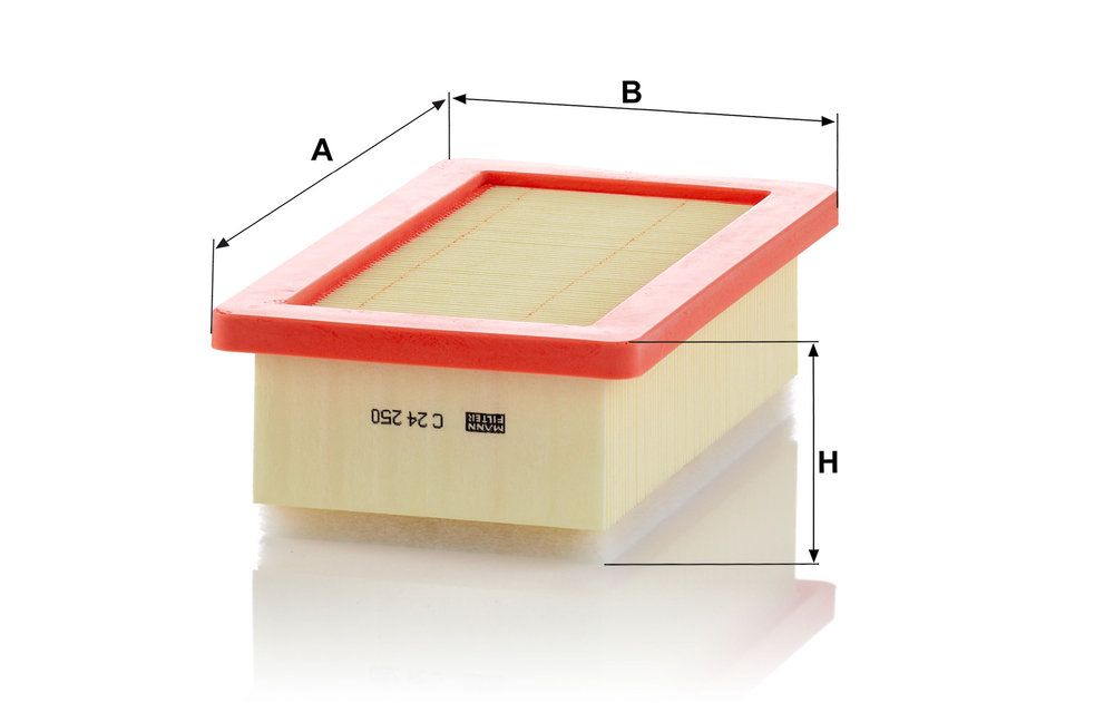 MANN-FILTER C 24 250 - Luftfilter