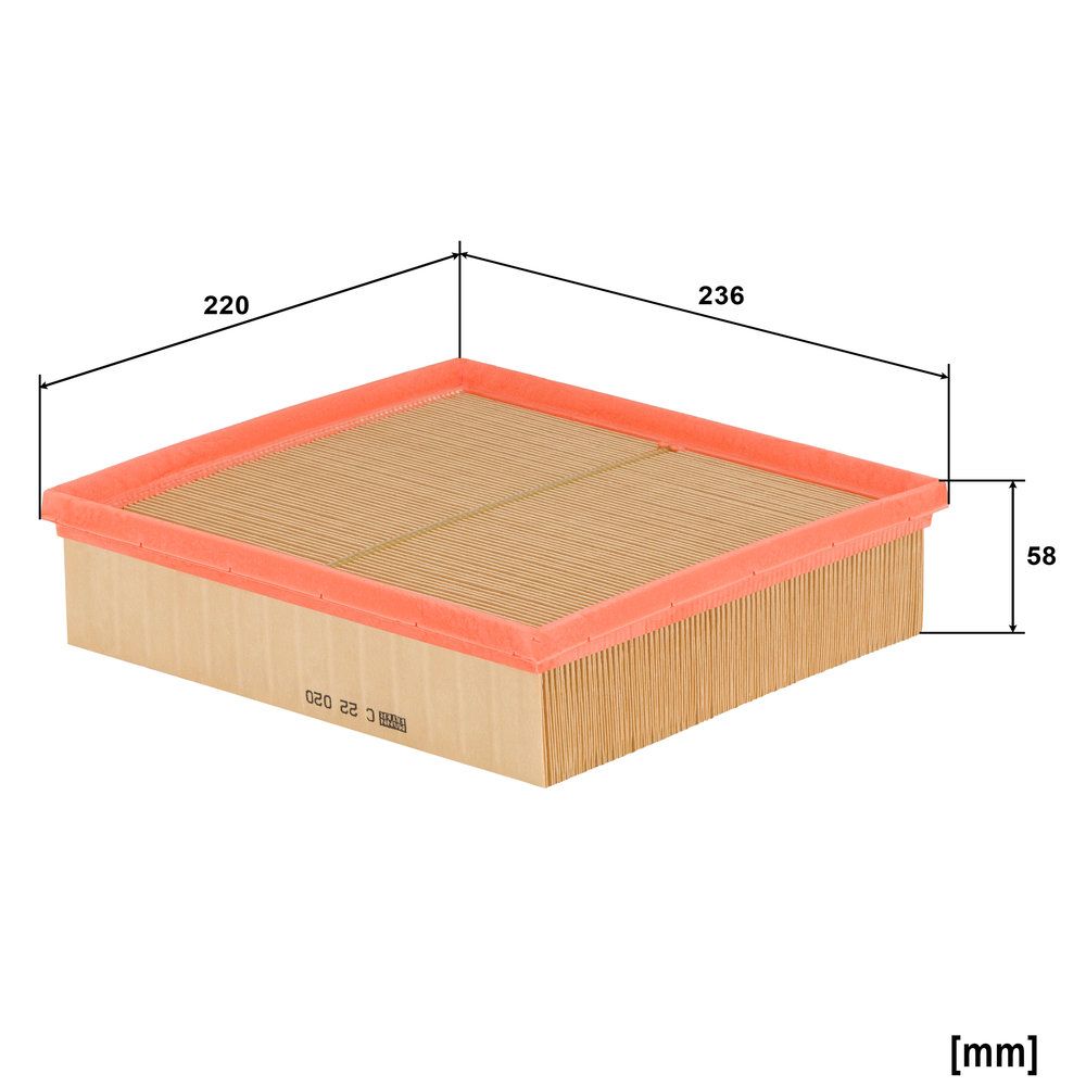 MANN-FILTER C 22 020 - Luftfilter