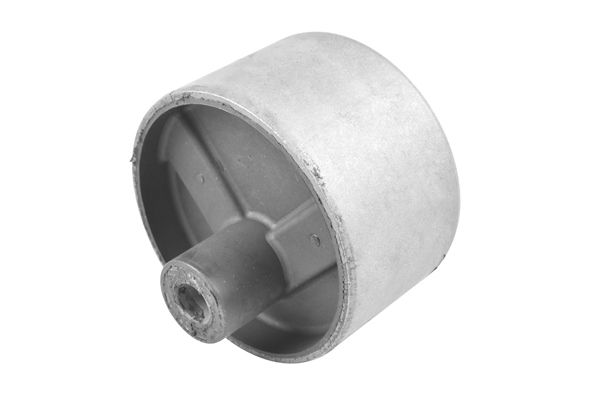 TEDGUM 00747819 - Lagerung, Motor