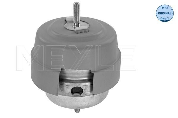 MEYLE 100 199 0189 - Lagerung, Motor