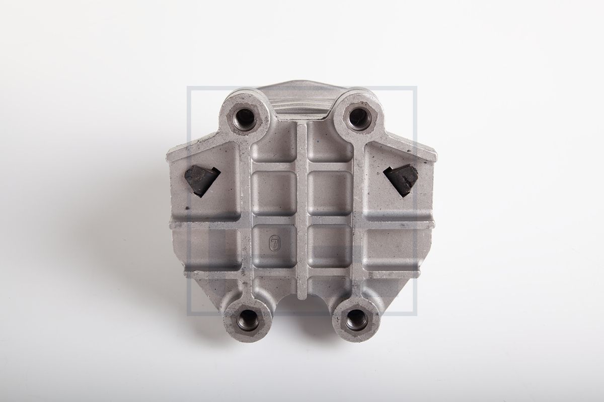 PE Automotive 030.247-00A - Lagerung, Motor