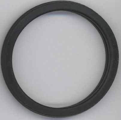 ELRING 027.450 - Dichtring
