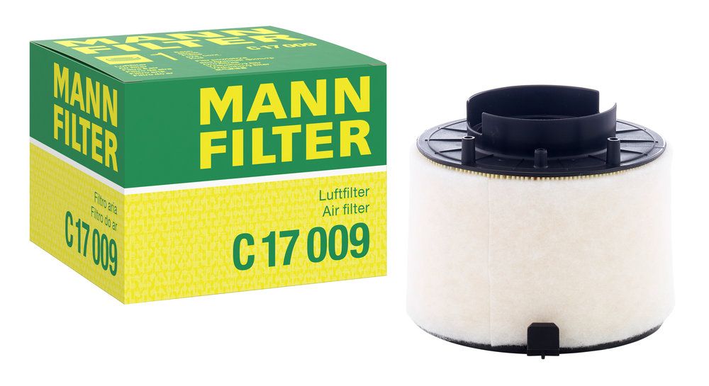 MANN-FILTER C 17 009 - Luftfilter
