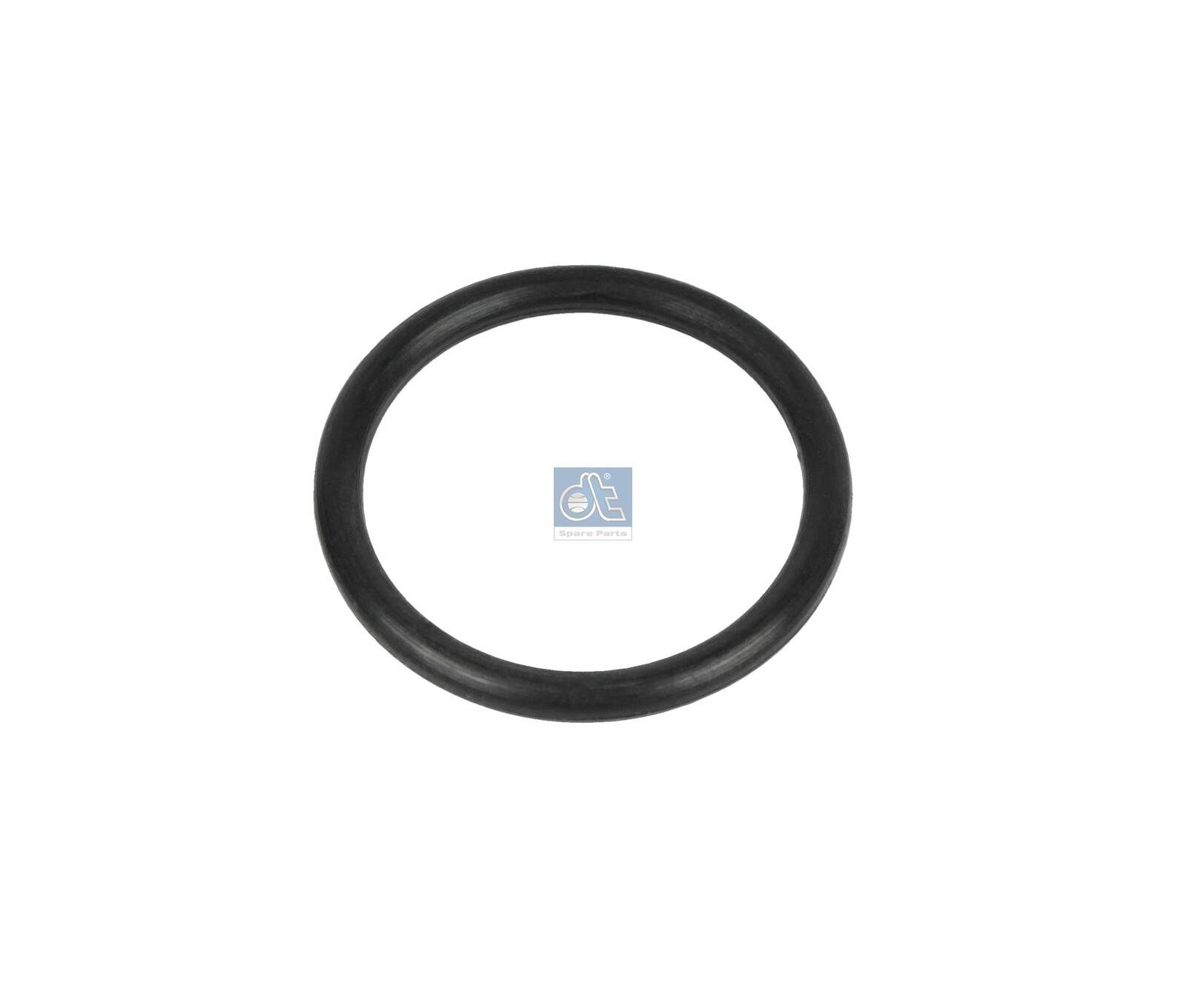 DT Spare Parts 1.24099 - Dichtring
