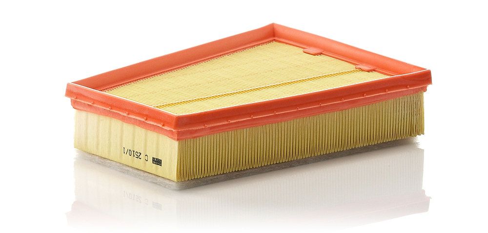 MANN-FILTER C 2510/1 - Luftfilter