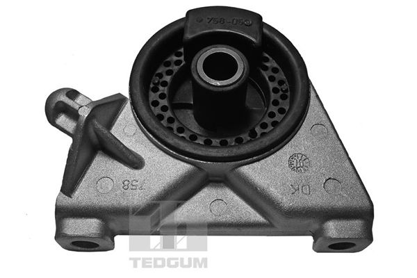 TEDGUM 00509064 - Lagerung, Motor