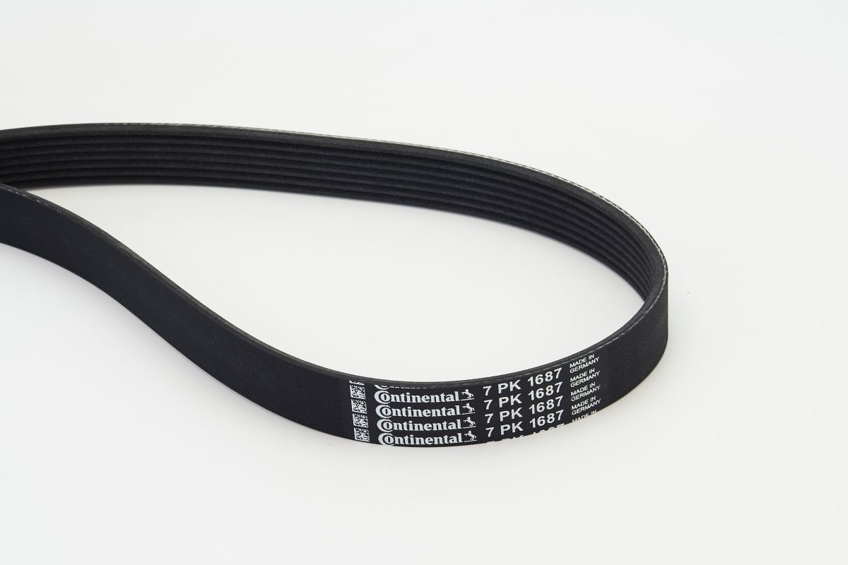 CONTINENTAL CTAM 7PK1687 - Keilrippenriemen