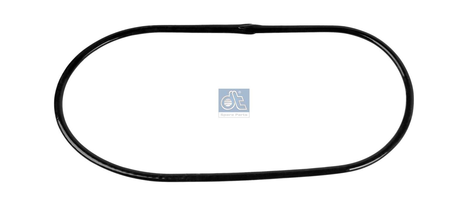 DT Spare Parts 1.24155 - Dichtung, Thermostat