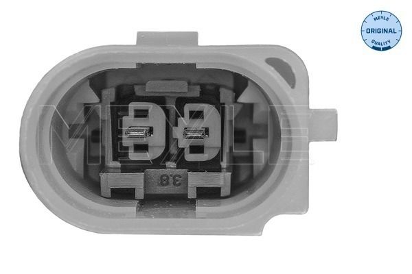 MEYLE 100 199 3106/S - Lagerung, Motor