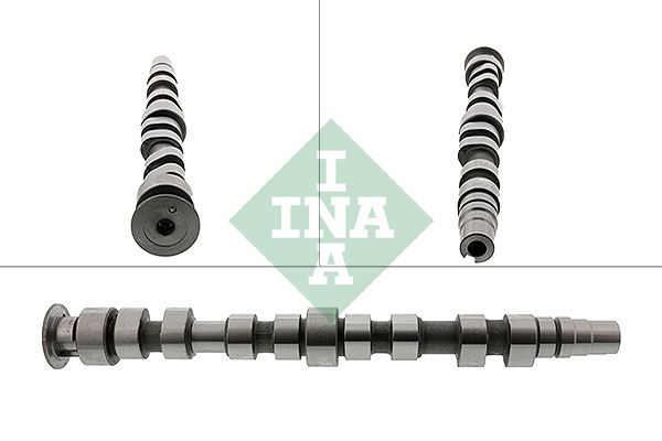 Schaeffler INA 428 0169 10 - Nockenwelle