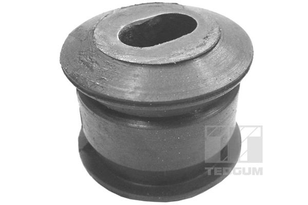 TEDGUM 00133213 - Lagerung, Motor