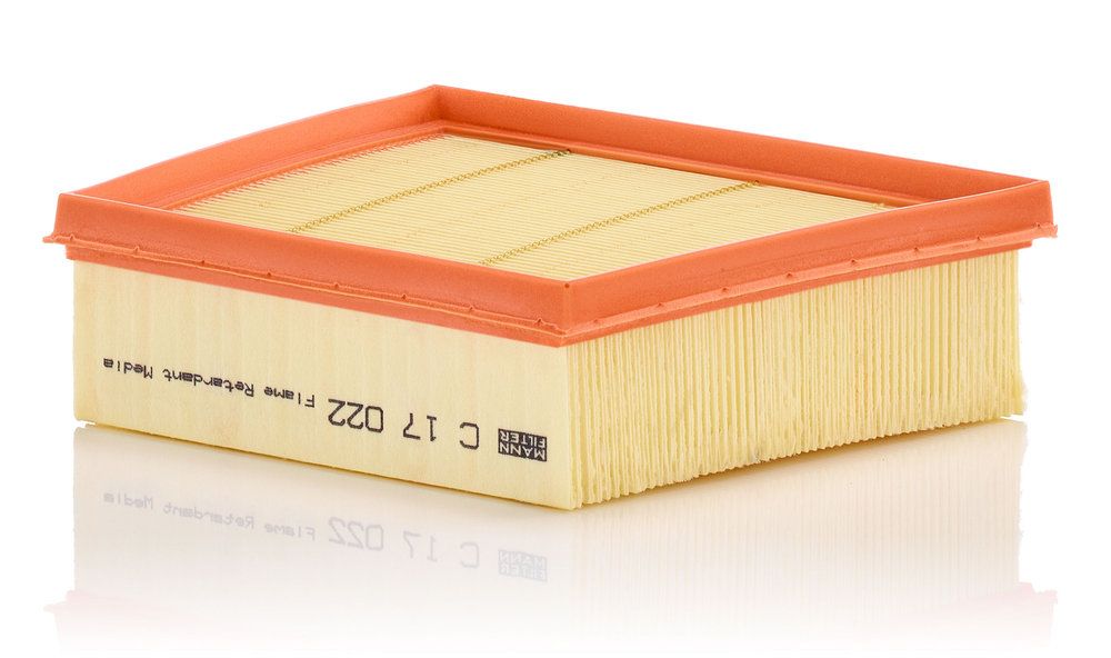 MANN-FILTER C 17 022 - Luftfilter