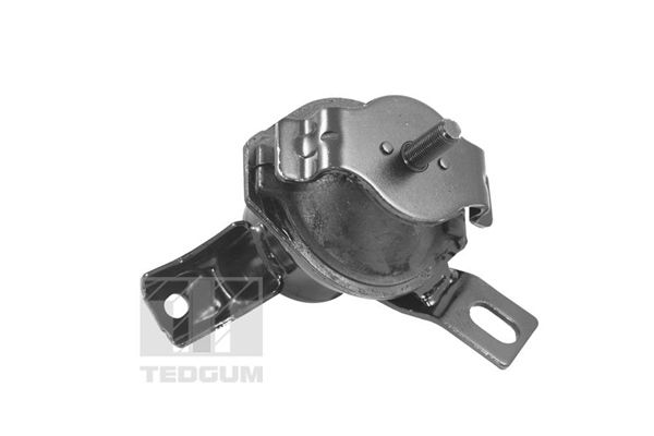 TEDGUM 00441120 - Lagerung, Motor