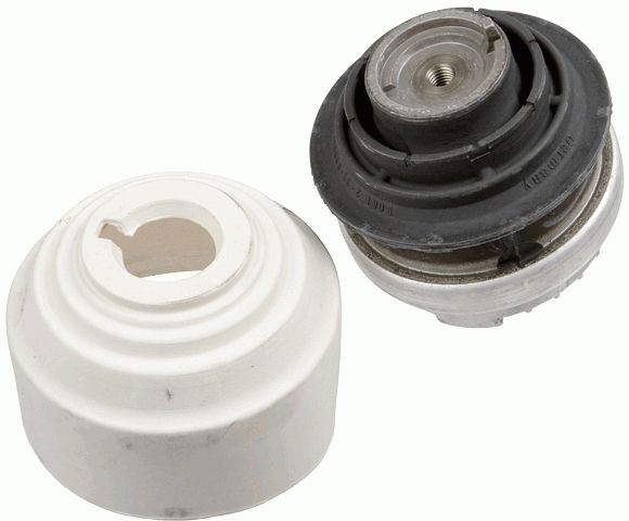 LEMFÖRDER 29756 01 - Lagerung, Motor