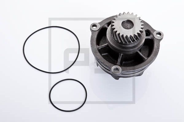 PE Automotive 020.100-00A - Wasserpumpe, Motorkühlung