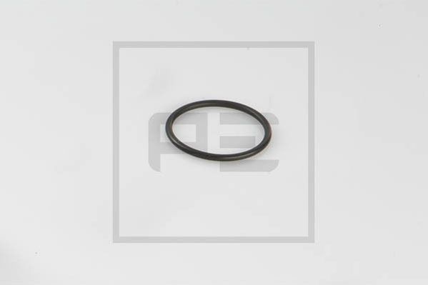 PE Automotive 030.481-00A - Dichtung, Tankgeber