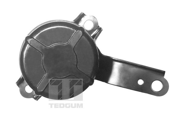 TEDGUM 00672451 - Lagerung, Motor