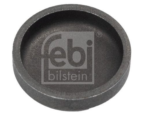 FEBI BILSTEIN 03199 - Froststopfen