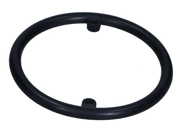 MAXGEAR 70-0115 - Dichtung, Ölkühler