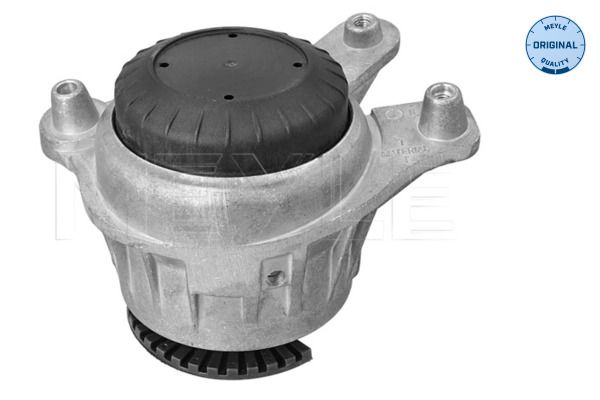 MEYLE 014 024 2201 - Lagerung, Motor
