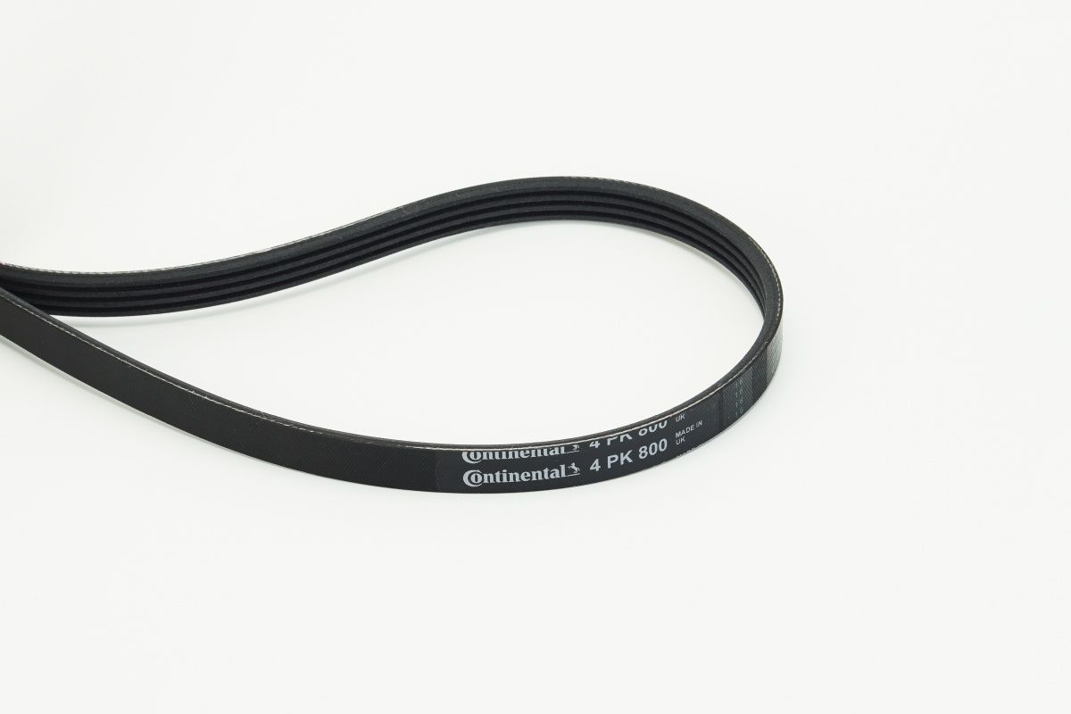 CONTINENTAL CTAM 4PK800 - Keilrippenriemen