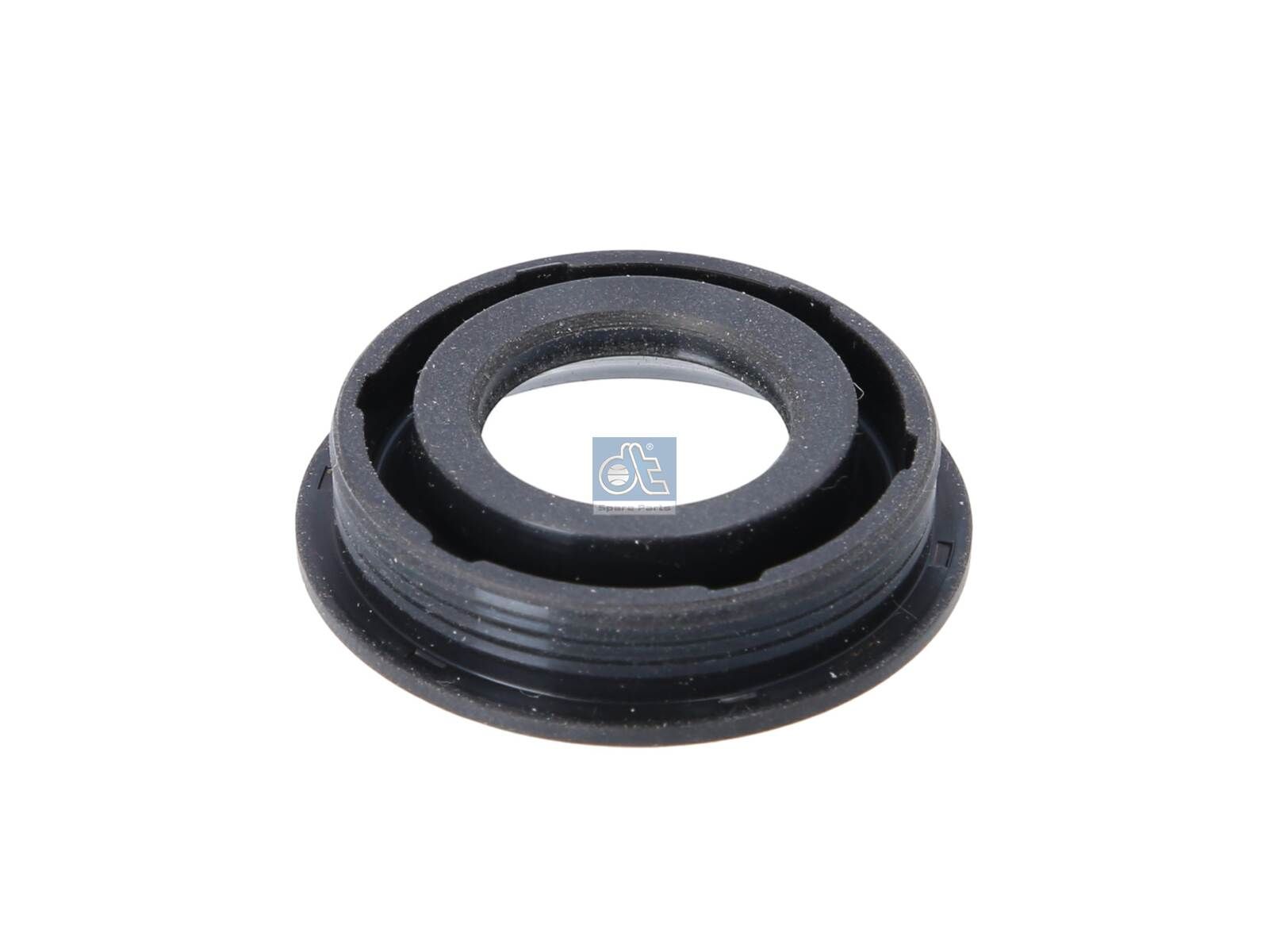 DT Spare Parts 11.10544 - Dichtring, Kerzenschacht