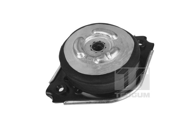 TEDGUM 00418536 - Lagerung, Motor