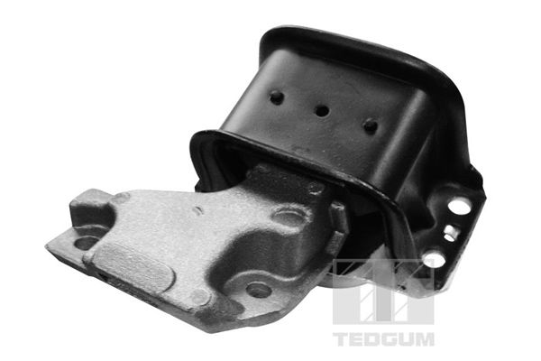TEDGUM 00511756 - Lagerung, Motor