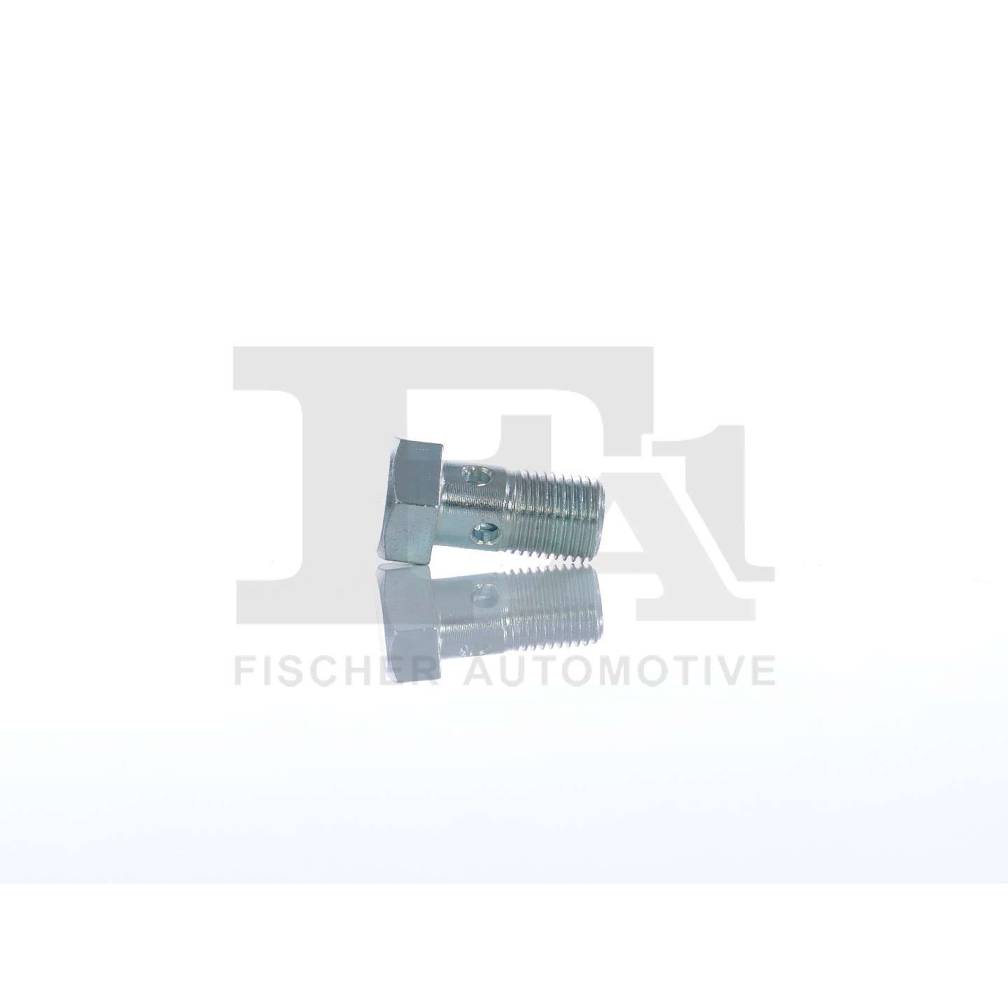 FA1 989-10-015 - Hohlschraube, Lader