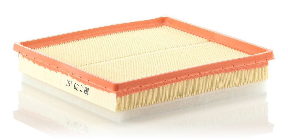 MANN-FILTER C 30 163 - Luftfilter