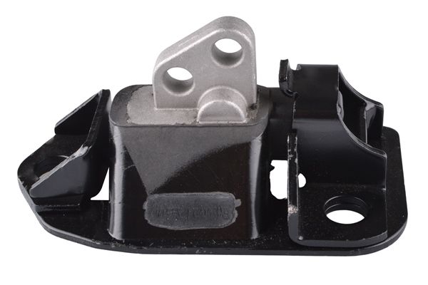 TEDGUM 00748055 - Lagerung, Motor