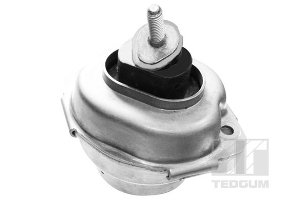 TEDGUM 00088466 - Lagerung, Motor