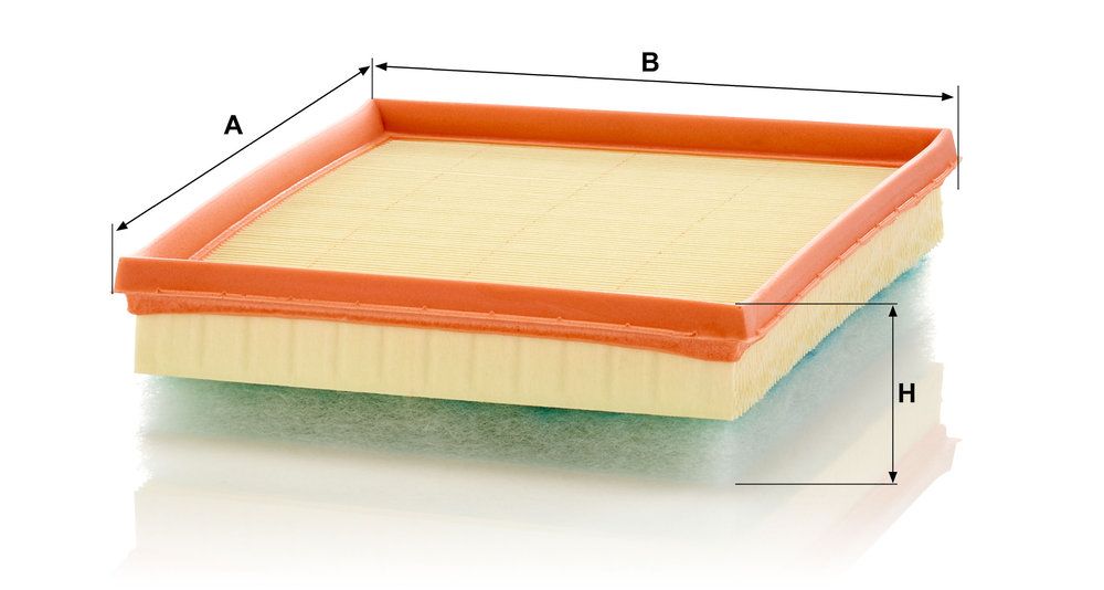 MANN-FILTER C 24 017 - Luftfilter