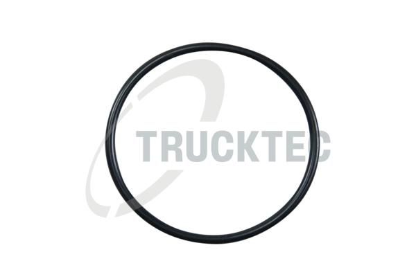 TRUCKTEC AUTOMOTIVE 02.67.006 - Dichtung, Thermostat