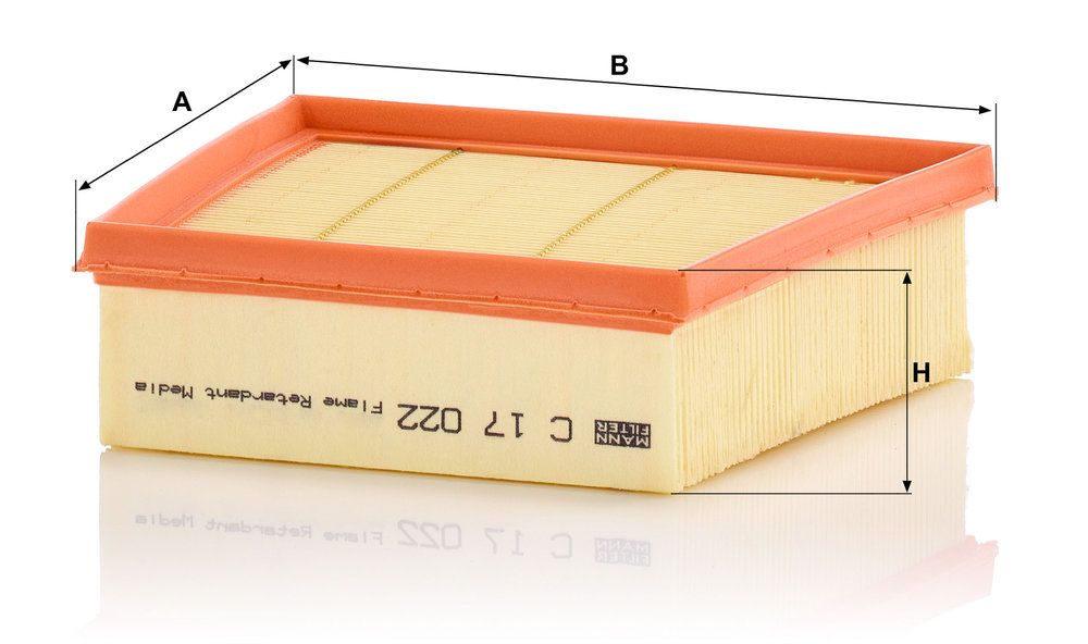MANN-FILTER C 17 022 - Luftfilter