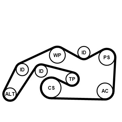 CONTINENTAL CTAM 6PK2490K1 - Keilrippenriemensatz
