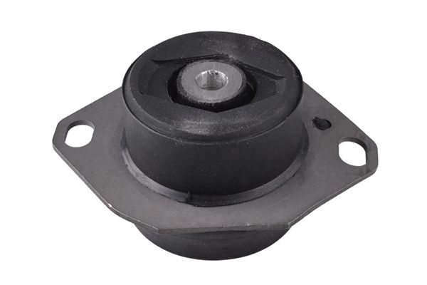 TEDGUM 00144405 - Lagerung, Motor
