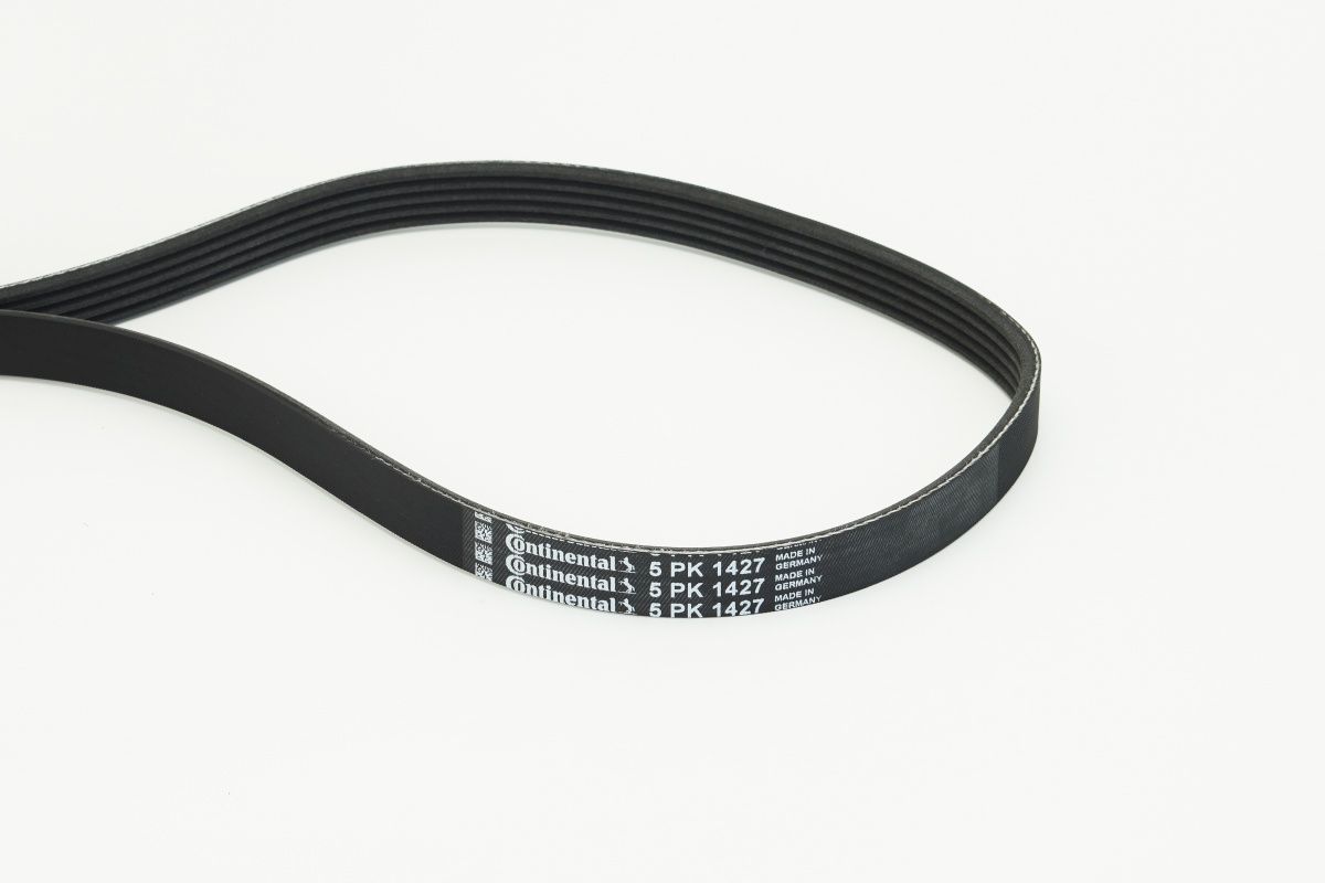 CONTINENTAL CTAM 5PK1427 - Keilrippenriemen