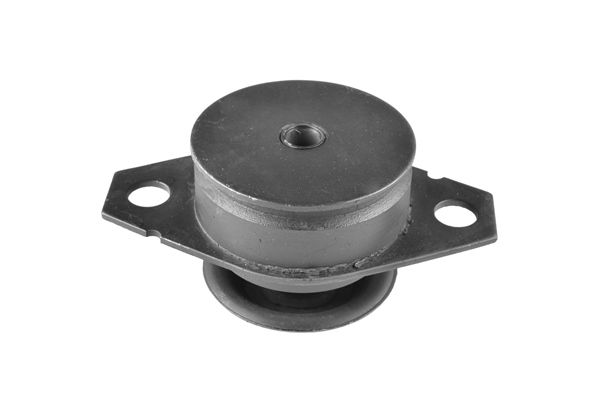 TEDGUM 00213221 - Lagerung, Motor