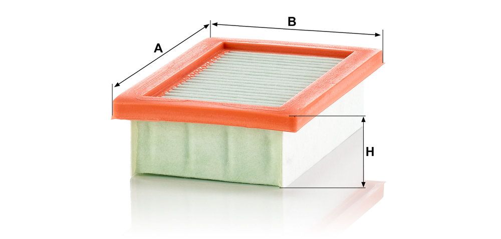 MANN-FILTER C 22 033/1 - Luftfilter