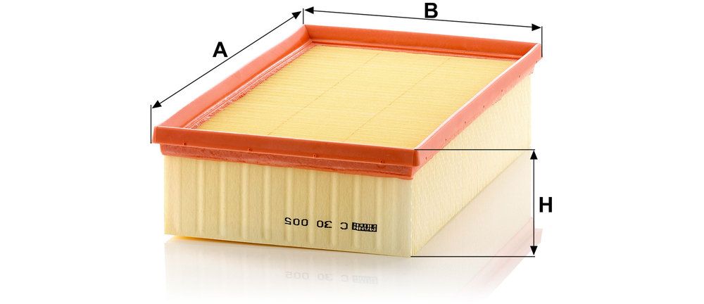 MANN-FILTER C 30 005 - Luftfilter
