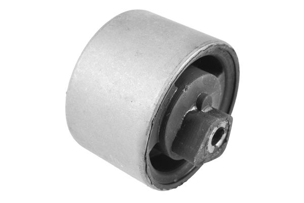 TEDGUM 00466991 - Lagerung, Motor