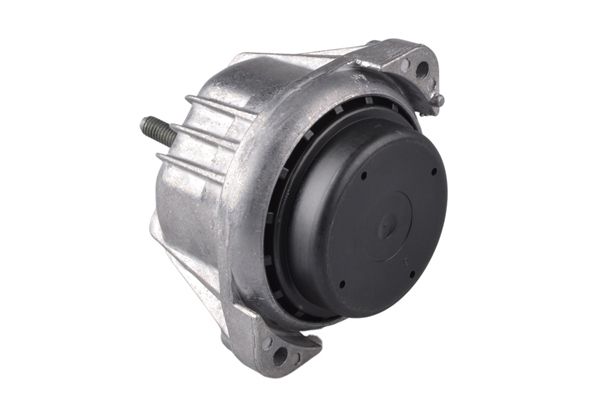 TEDGUM 00088490 - Lagerung, Motor