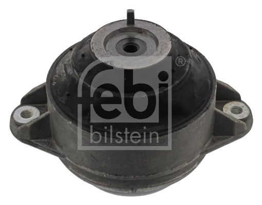 FEBI BILSTEIN 07896 - Lagerung, Motor