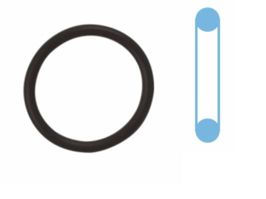 CORTECO 041118H - Dichtring, Ölablassschraube